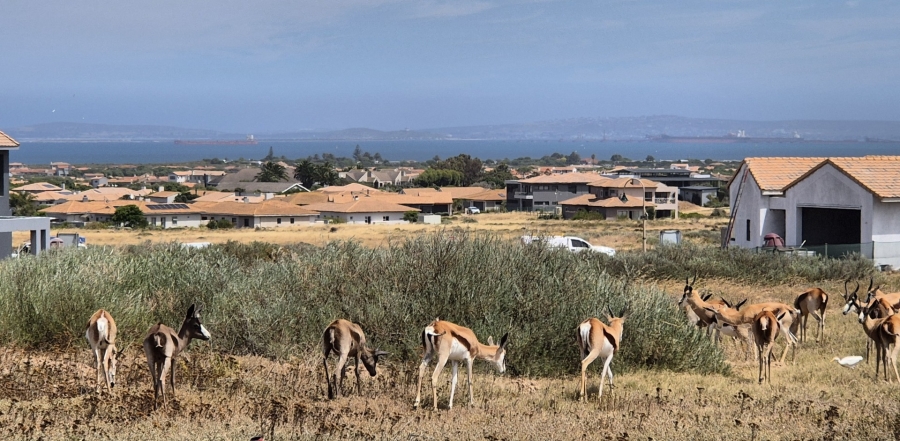 3 Bedroom Property for Sale in Langebaan Country Estate Western Cape